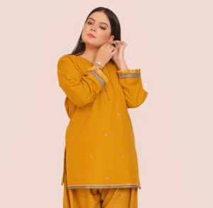Embroidered Dhanak Suit (2)